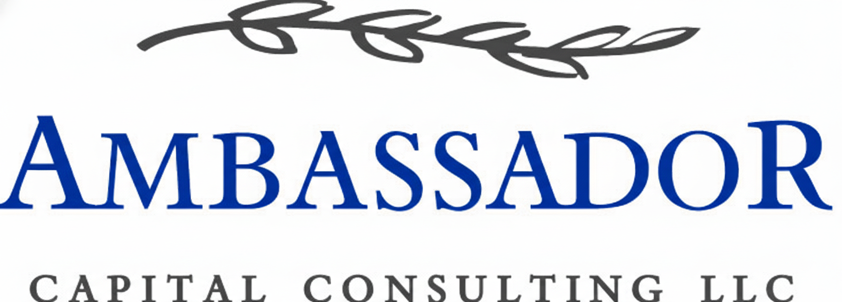 Ambassador Capital Consulting LLC